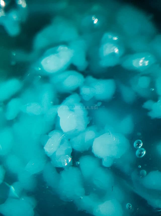 L'ESSENTIAL Triple Cream review photo by itsarabella