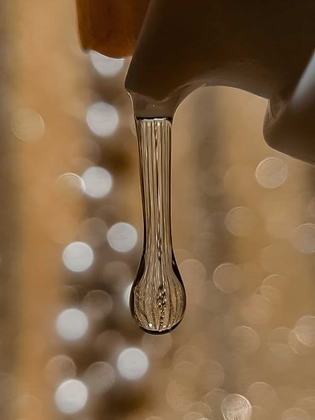 MIXSOON Bean Essence review photo by itsarabella