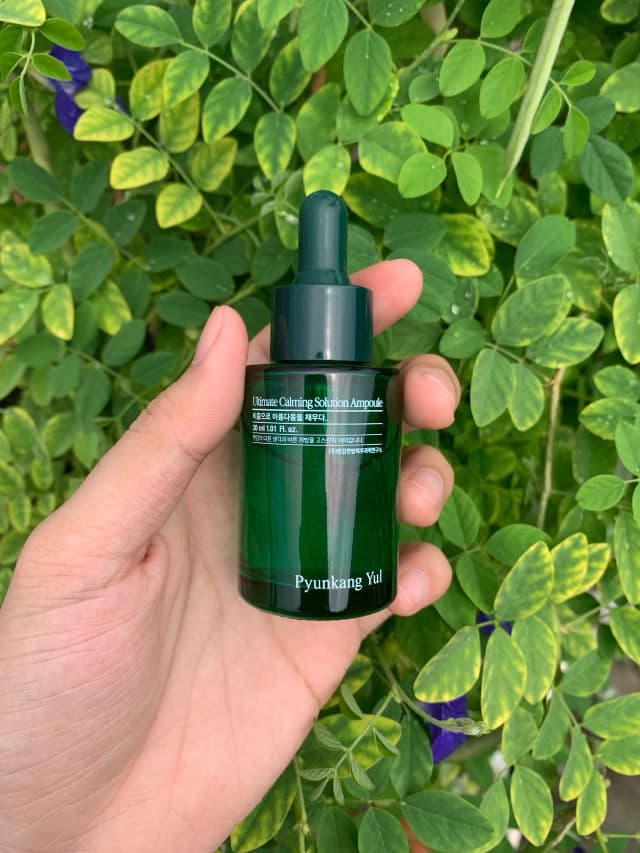 Pyunkang Yul Ultimate Calming Solution Ampoule review photo by itsirgs