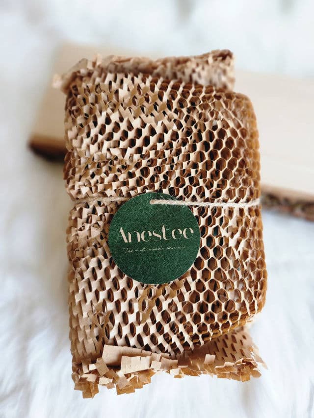 Anestee Phytogen pH Balanced Gel Cleanser  review photo by Kat573