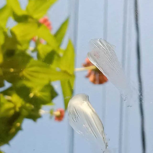 Barenbliss Butter Rush Vitamin Lip Mask review photo by Funi