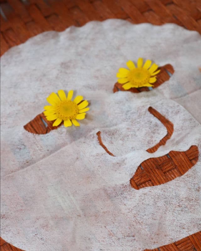 THE SAEM Red Ginseng review photo by Doossa