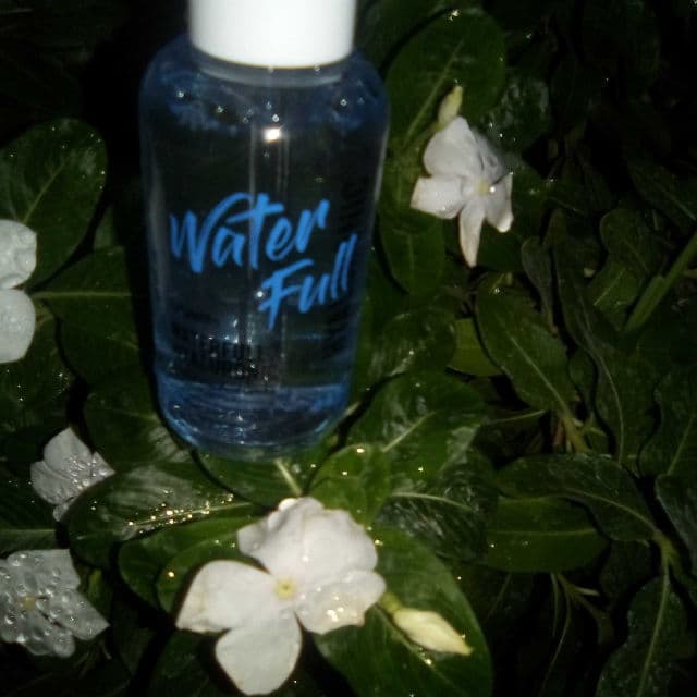Jumiso Waterfull Hyaluronic Acid Serum review photo by laaala