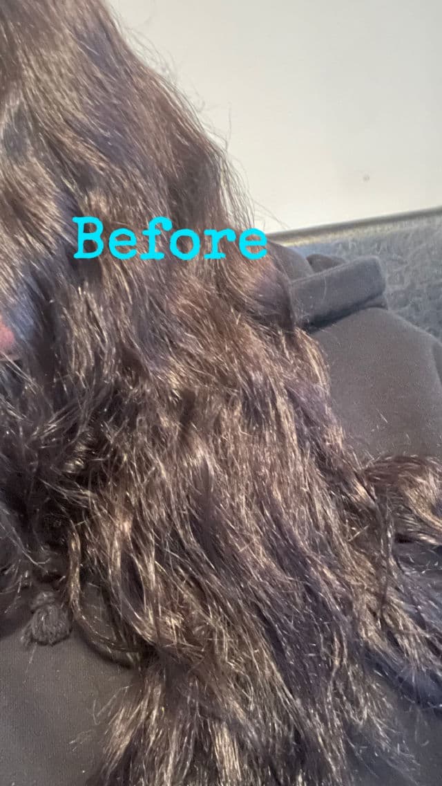 Aveda Botanical Repair Bond-building Flash Treatment review photo by NARoatti