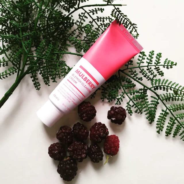A'pieu Mulberry Blemish Clearing Cream review photo by peachperfectskin