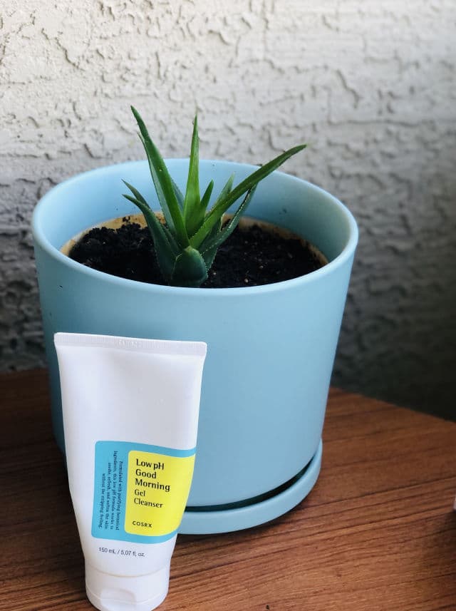 COSRX Low pH Good Morning Gel Cleanser review photo by Picky13438