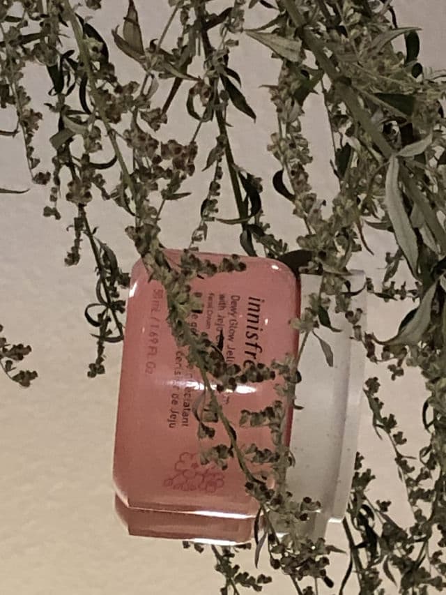 INNISFREE Jeju Cherry Blossom Dewy Glow Jelly Cream review photo by Lingua