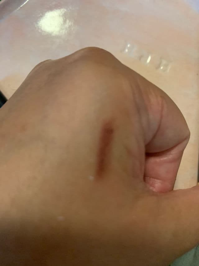 Chanel 162 Nude Brun review photo by JenShaf1