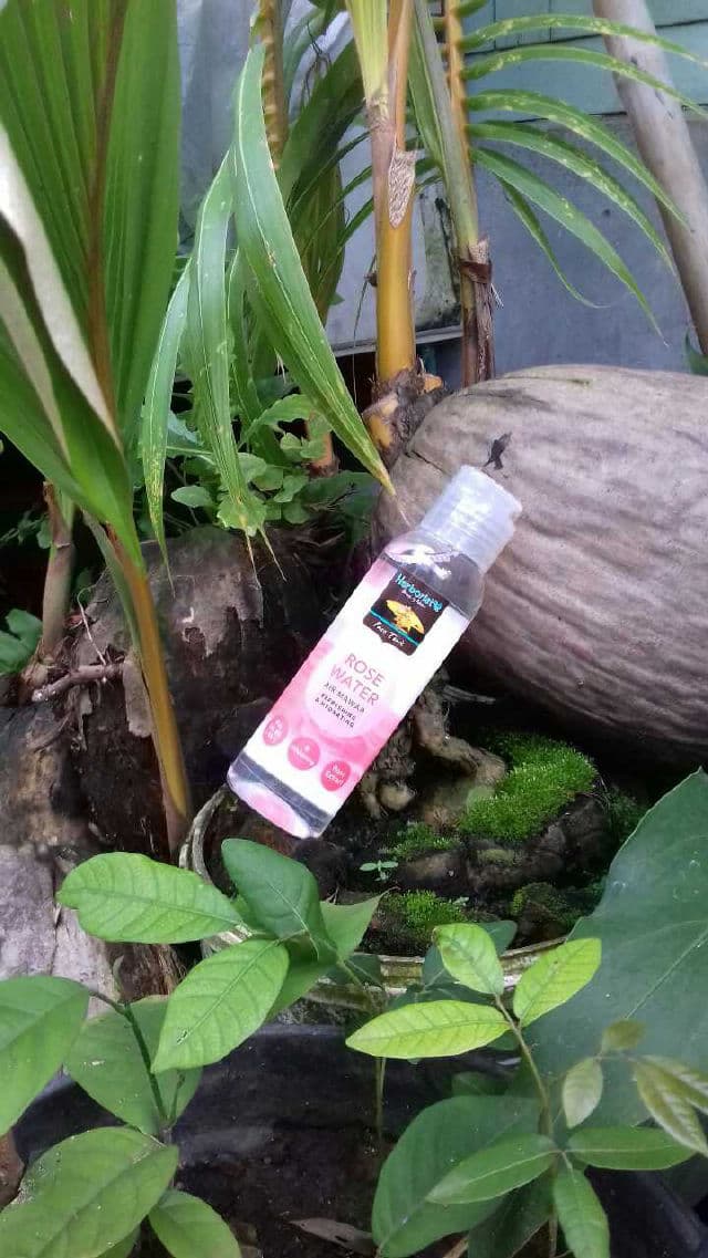 Herborist Rose Water review photo by ningayu