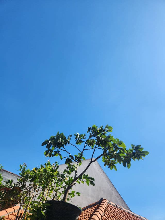 Urban Decay Wild Greens Eyeshadow Palette review photo by ichelr