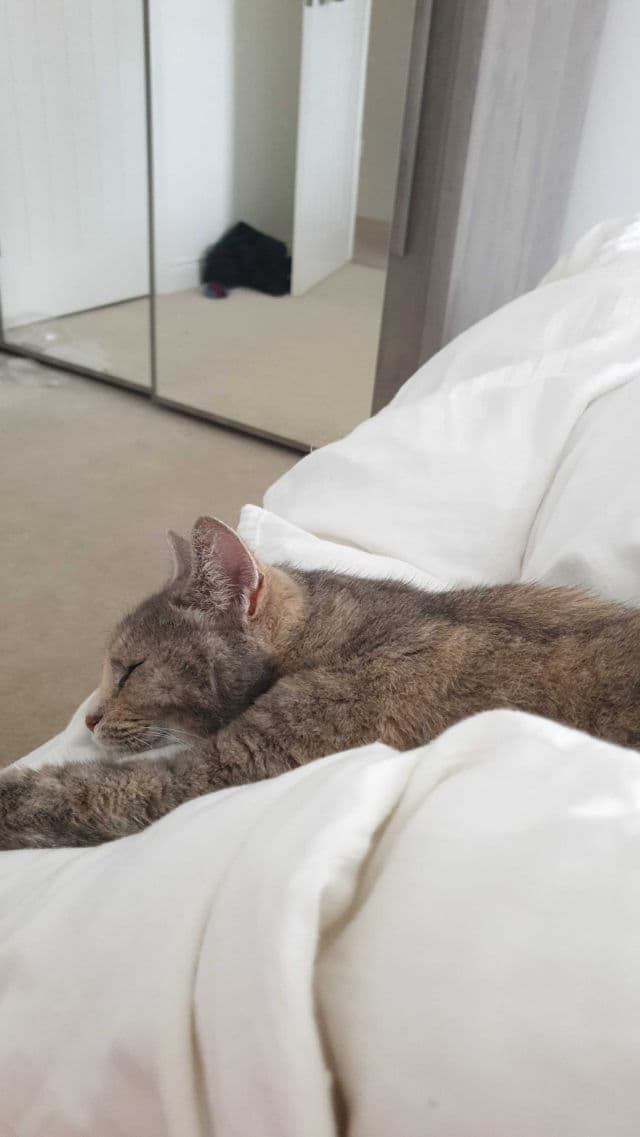 Doll Face Brilliance Illuminating Face Polish review photo by alishia05