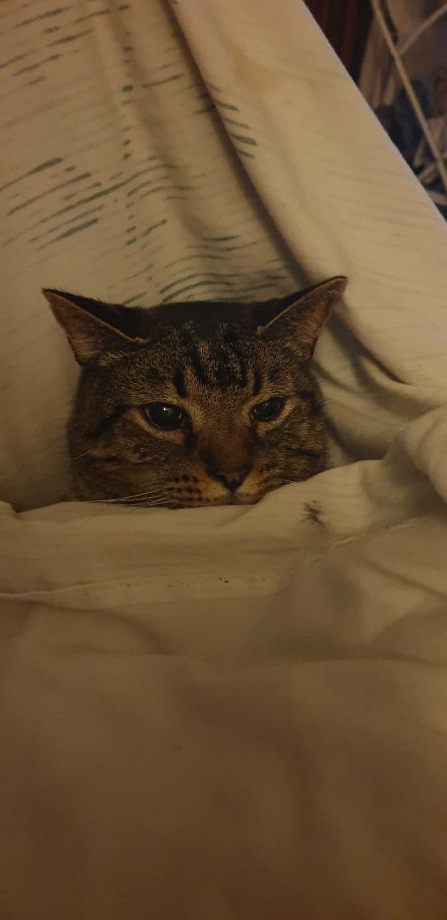 Eveline Cosmetics Beauty & Glow Peel It Baby! Natural Face Scrub review photo by alishia05