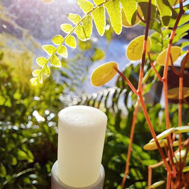 MIXSOON Vegan Melting Lip Balm #02 Dry Rose review photo by Robynrose