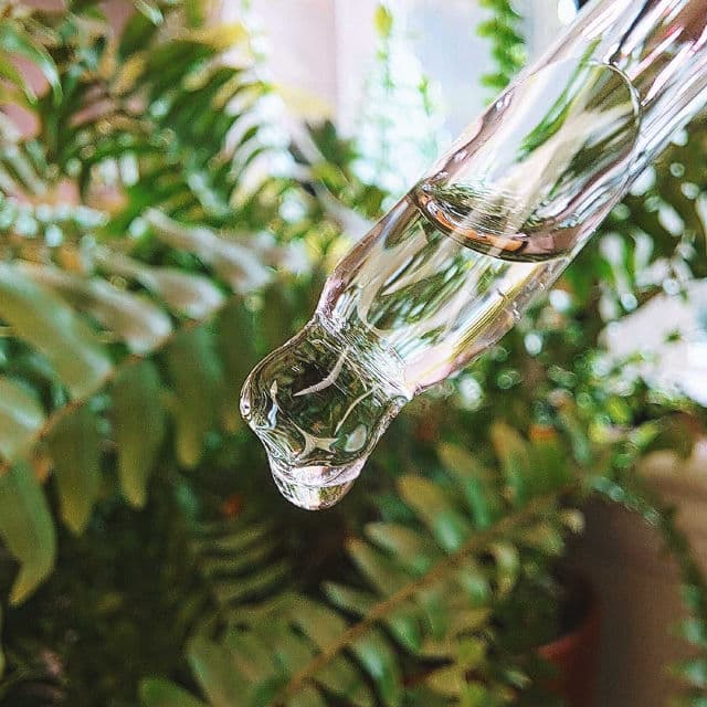 PURITO Plainet Squalane Oil 100 review photo by Robynrose