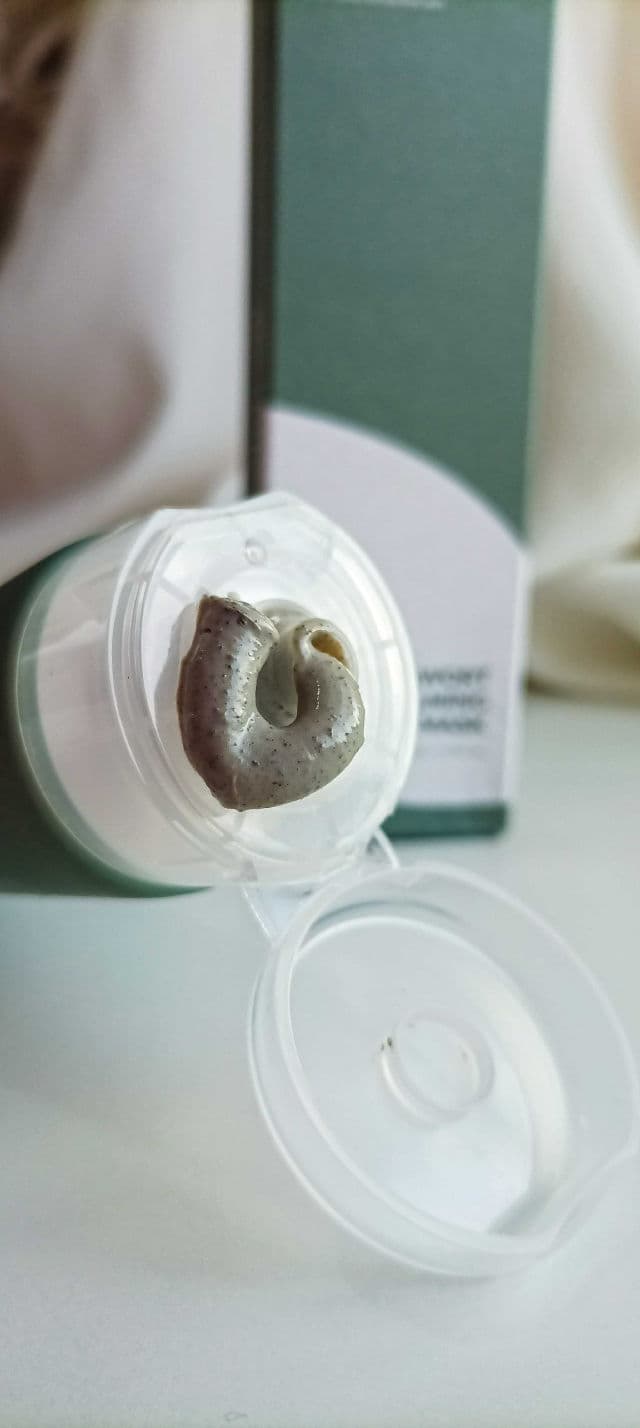 ISNTREE Mugwort Calming Clay Mask review photo by Zara1193