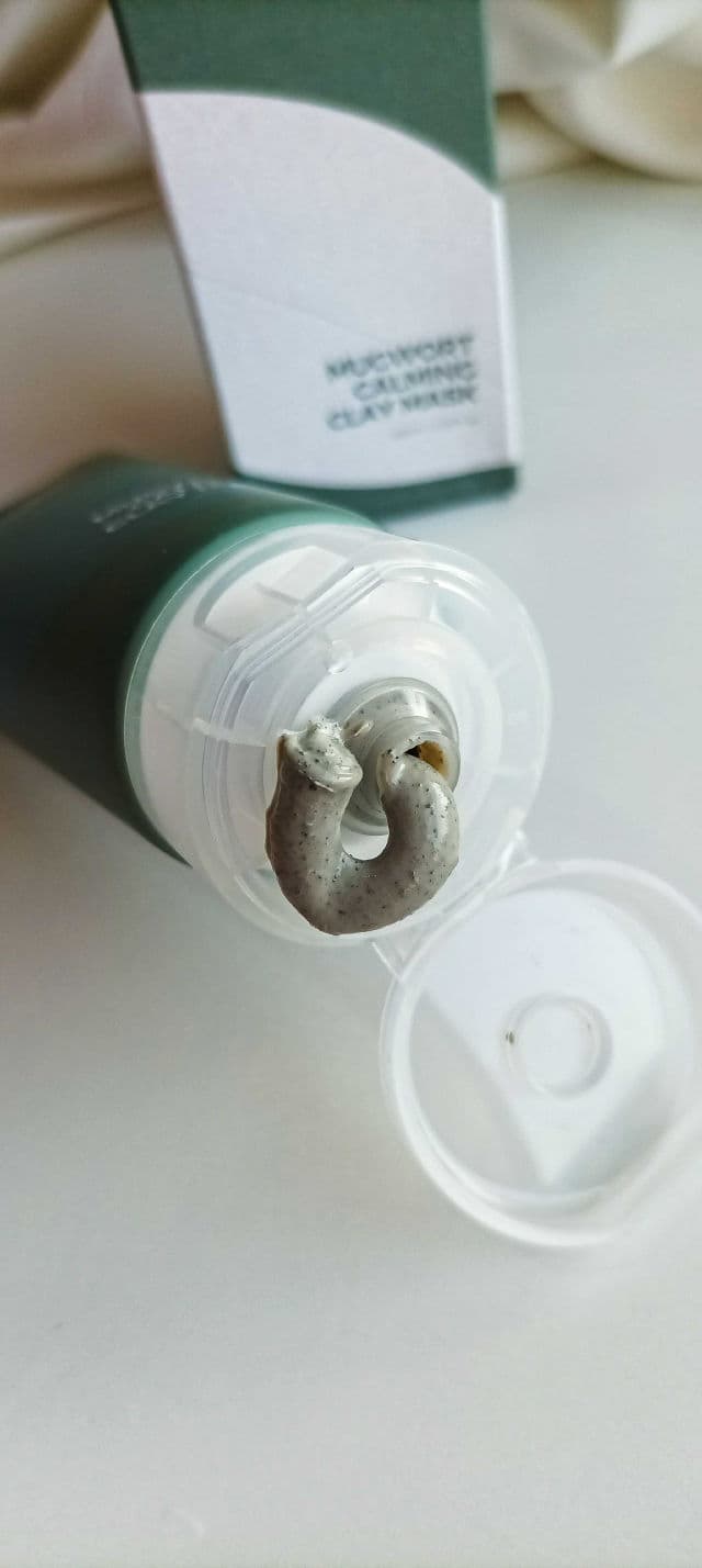 ISNTREE Mugwort Calming Clay Mask review photo by Zara1193