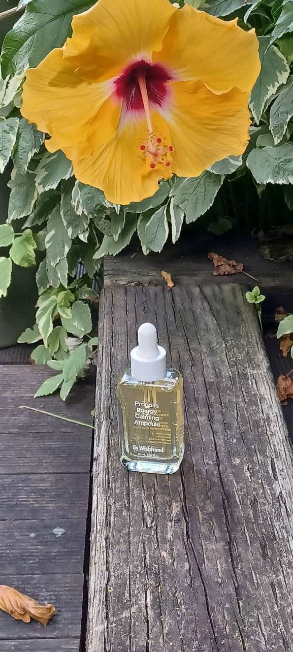 Propolis Energy Calming Ampoule product review