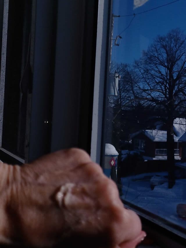 Biotherm Blue Therapy Amber Algae Revitalize Day review photo by daliajulius