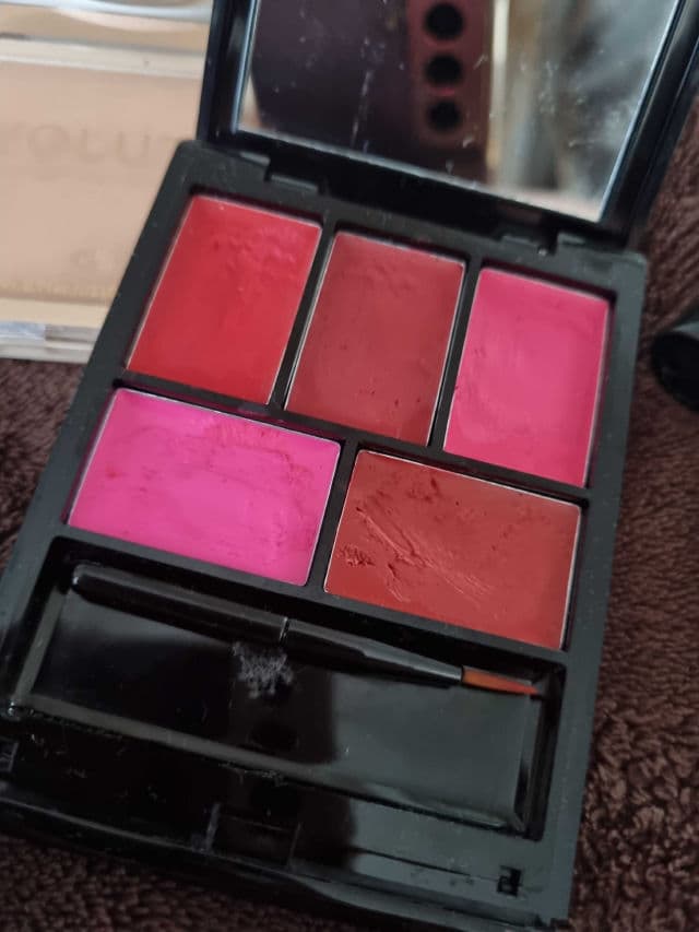 MUA Makeup Academy Paint Box Multishade Lip Palette Rose Rouge review photo by asi19962023
