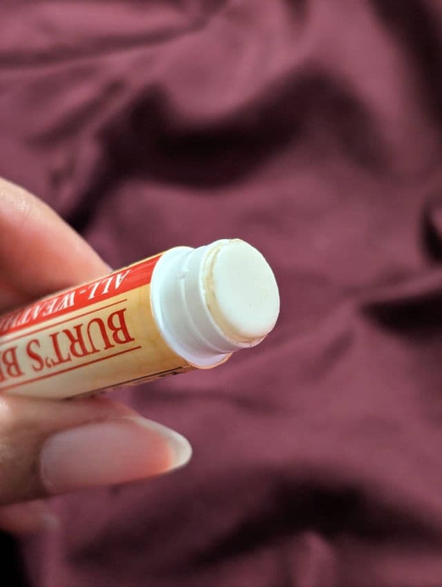 Burt's Bees All-Weather SPF 15 Moisturizing Lip Balm review photo by ChillinWithQuanie