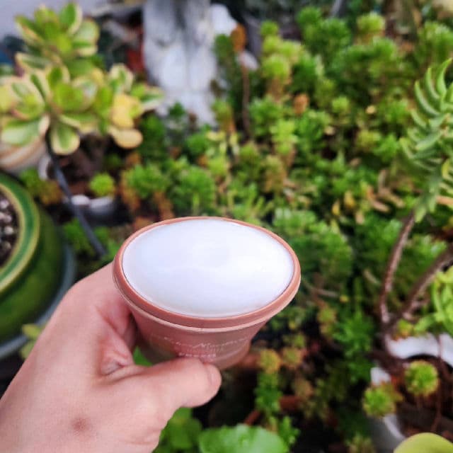 SheaMoisture Coconut & Hibiscus Fresh Antiperspirant Deodorant Stick review photo by CherishP