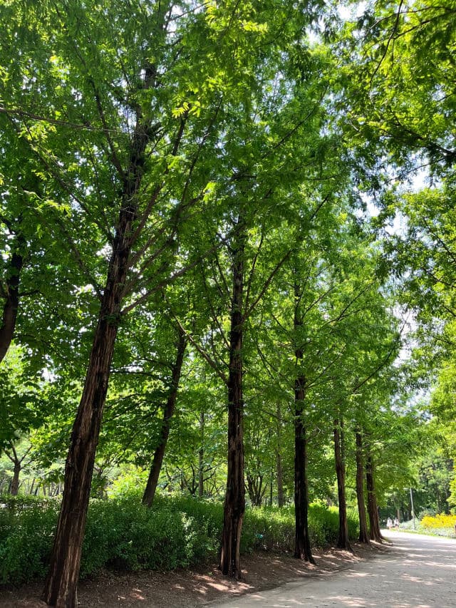 Nivea Sun Care UV Milky Gel SPF50+ PA++++ review photo by Tiaan