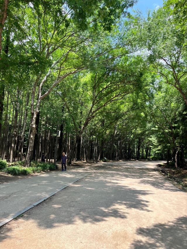 Nivea Sun Care UV Milky Gel SPF50+ PA++++ review photo by Tiaan