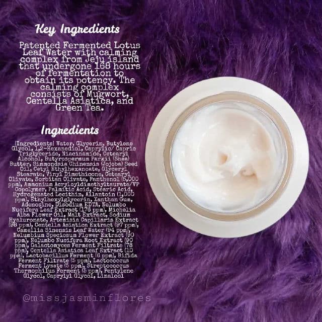 The Pure Lotus Youth Biotics Lotus Probiotic Concentrate Cream review photo by MissJazzy