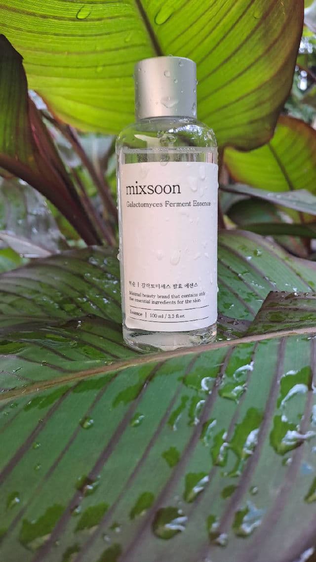 MIXSOON Galactomyces Toner review photo by Misimisen