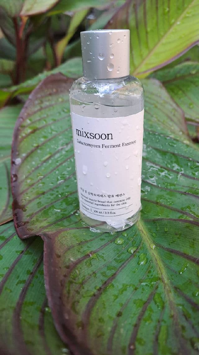 MIXSOON Galactomyces Toner review photo by Misimisen