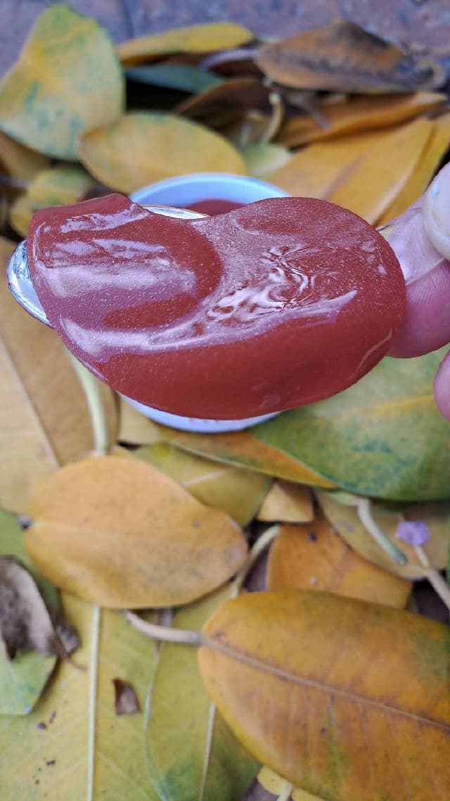 Shangpree Ginseng Berry Eye Mask review photo by Misimisen