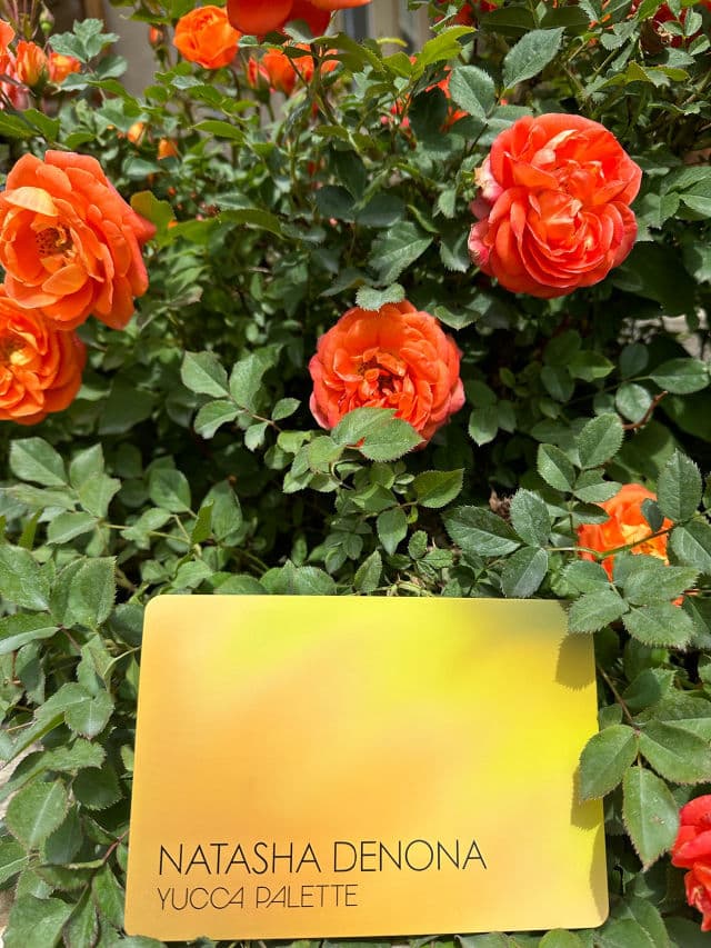 Natasha Denona Yucca Eyeshadow Palette review photo by FloraAimee