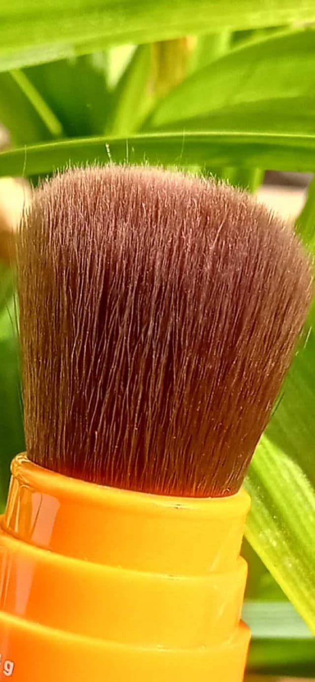 The Derma Co. Mattifying 100% Mineral Sunscreen Powder review photo by Rijola