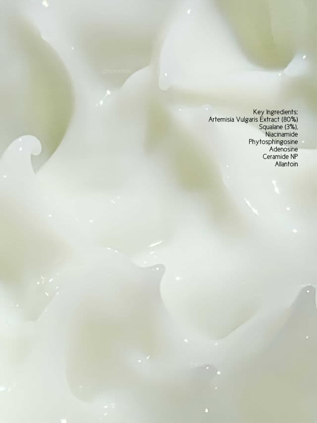 APRIL SKIN Artemisia Squalane Hydra Gel Cream review photo by nyannieee