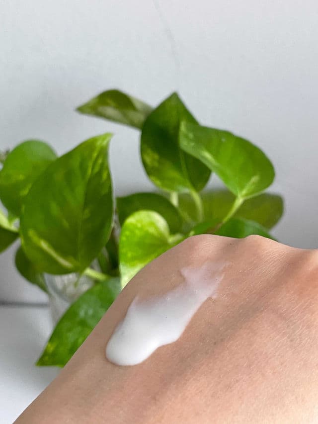 ETUDE SoonJung Director's Moisture Sun Cream SPF50+ PA++++ review photo by pristine