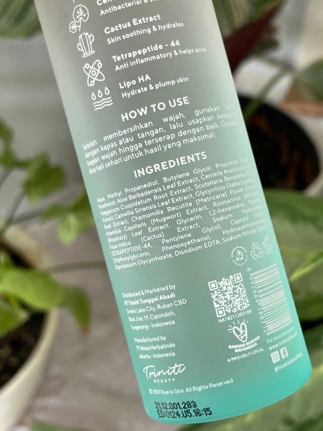 True to Skin Mugwort Cica Essence Toner review photo by pristine