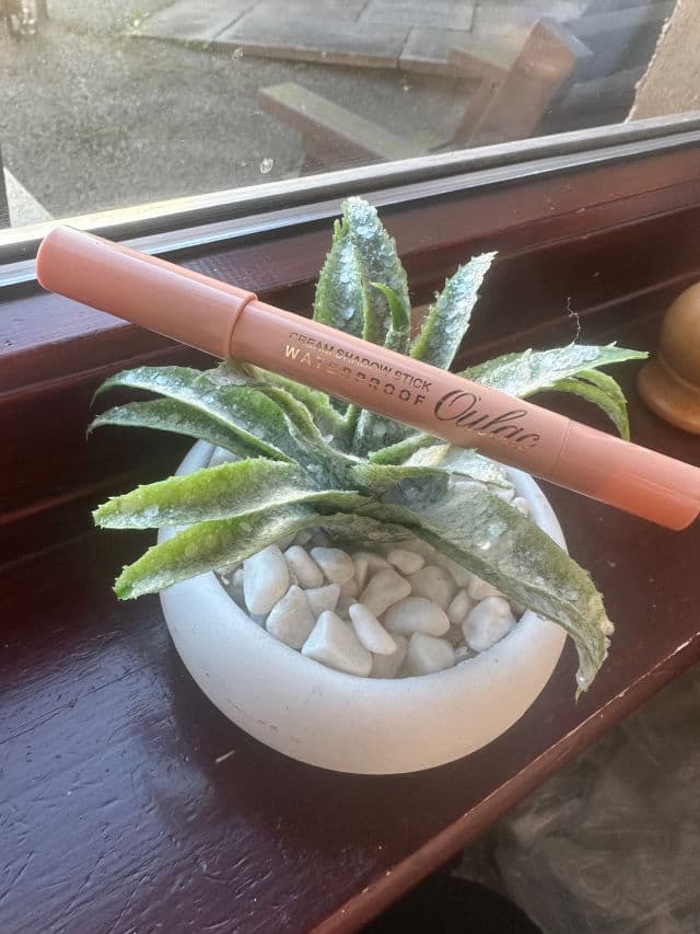 Oulac Cosmetics 01 Vanilla review photo by Jonadawn