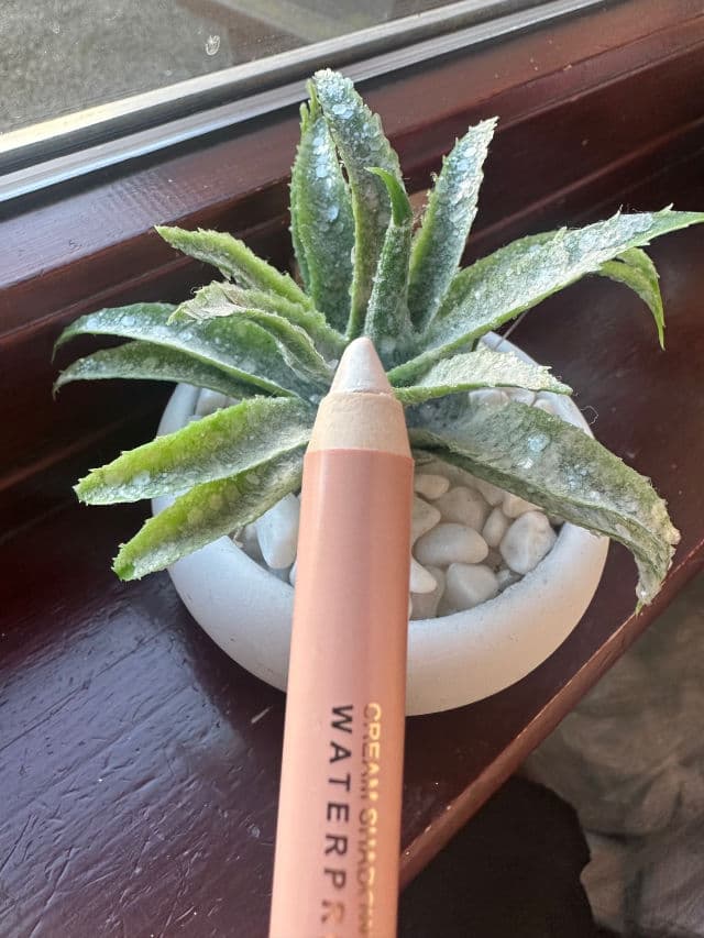 Oulac Cosmetics 01 Vanilla review photo by Jonadawn