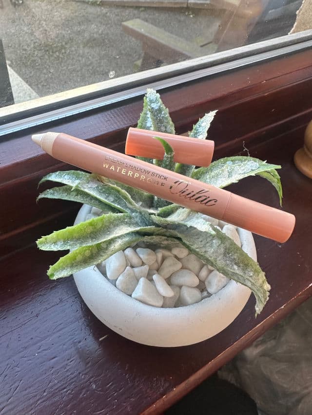 Oulac Cosmetics 01 Vanilla review photo by Jonadawn