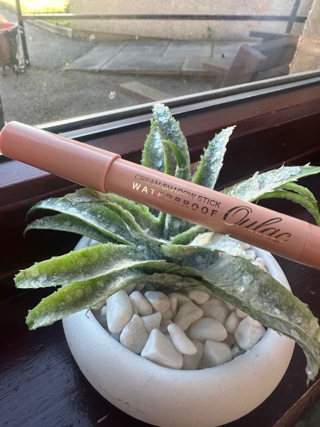 Oulac Cosmetics 01 Vanilla review photo by Jonadawn