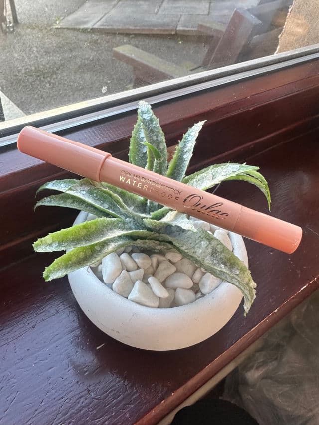 Oulac Cosmetics 01 Vanilla review photo by Jonadawn