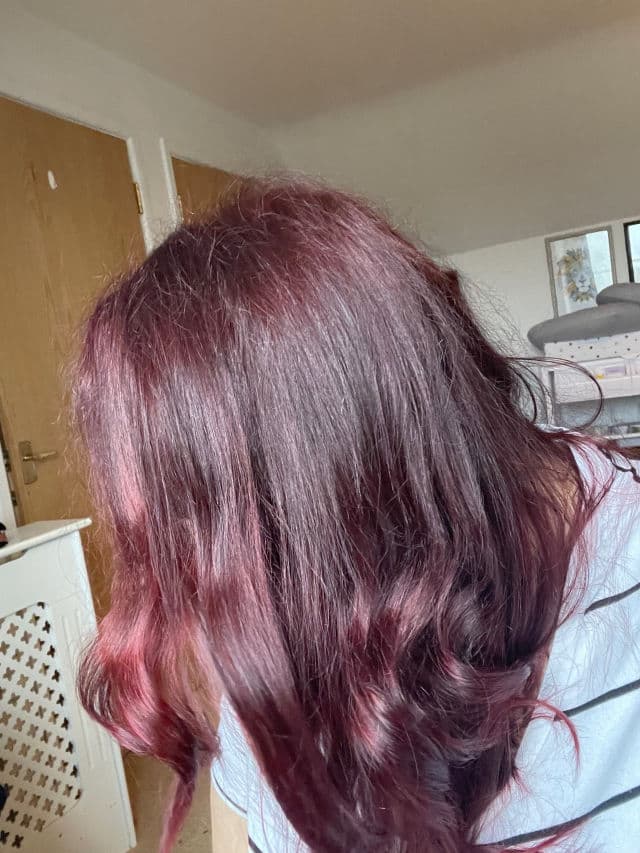 Garnier Olia Ammonia Free Hair Color - Dark Iridescent Brown review photo by meme27886