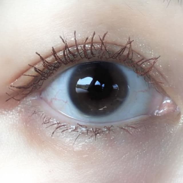 CANMAKE Quick Lash Curler Mascara - Black review photo by akinab