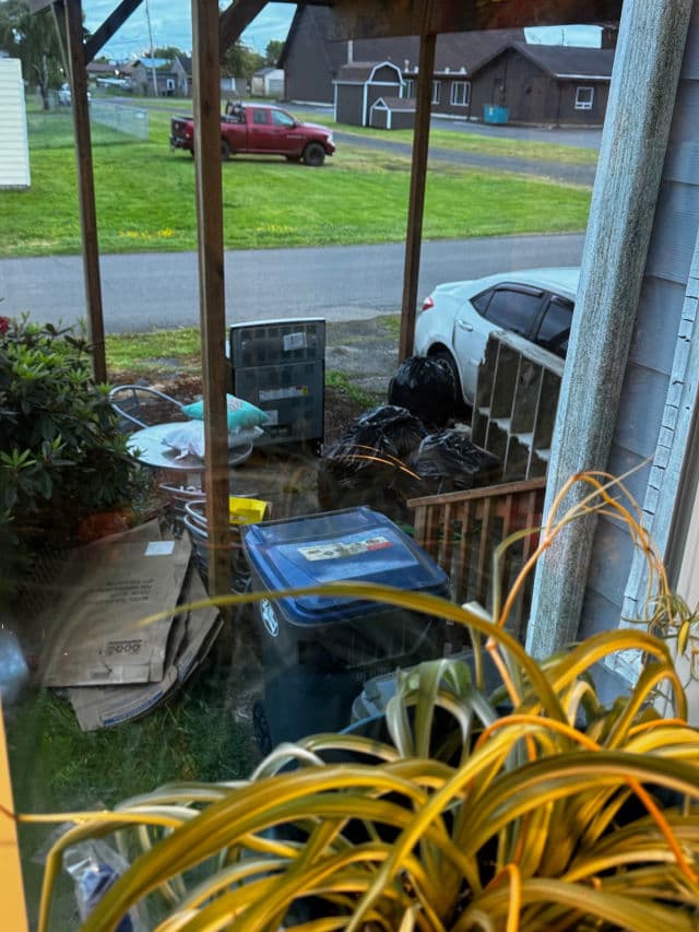 HaruHaru WONDER Black Bamboo Daily Soothing Sun Shield SPF50+ PA++++ review photo by StephNickol