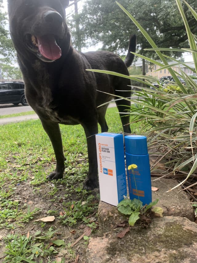 CNP Laboratory Outdoor Fluid Sun SPF50+ PA++++ review photo by ussskingarden