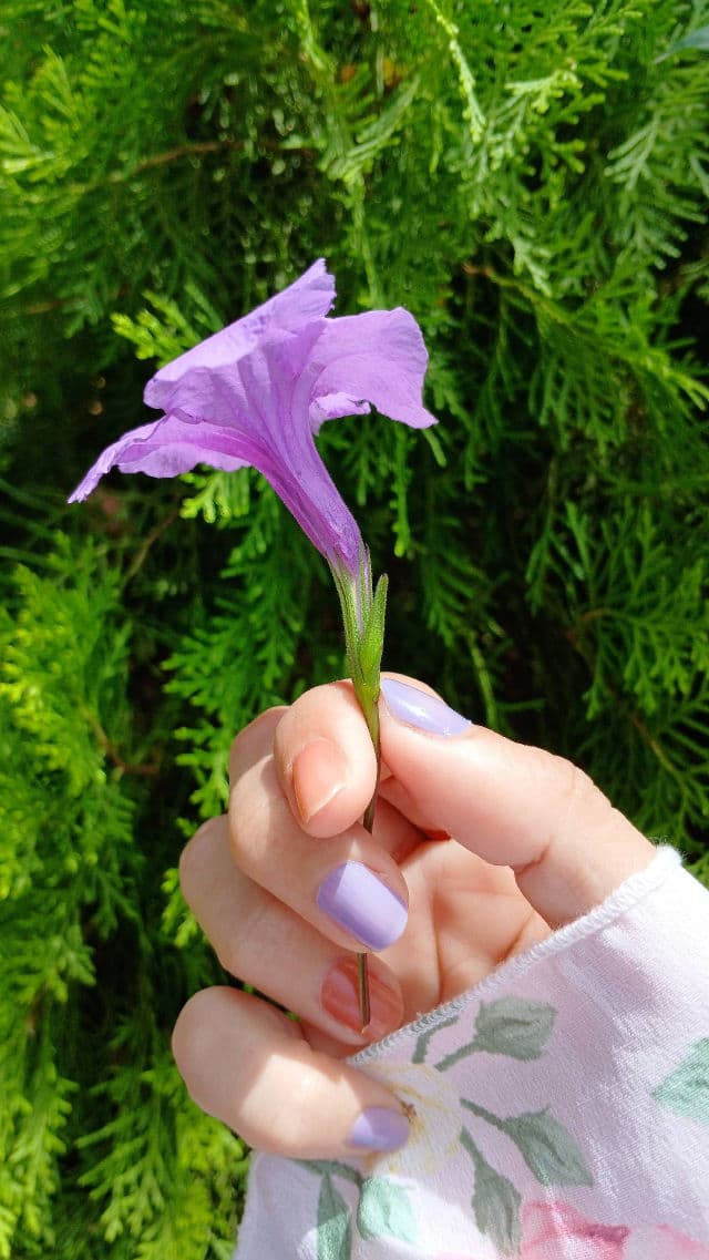 essie Apricot Cuticle Oil review photo by tatiross89