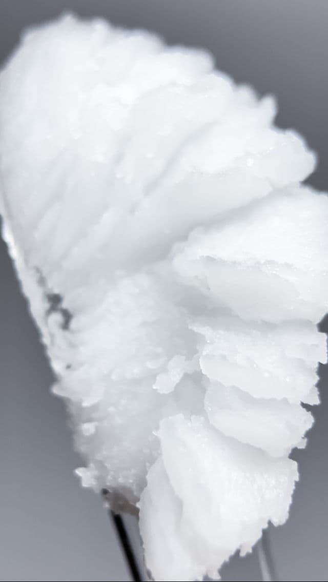 HaruHaru WONDER Centella Sunflower Makeup-Melting Cleansing Balm review photo by GlowSkinVibes