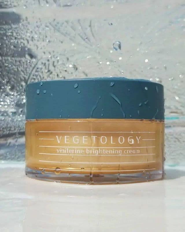 Vegetology Viniferine Brightening Cream review photo by Amna07