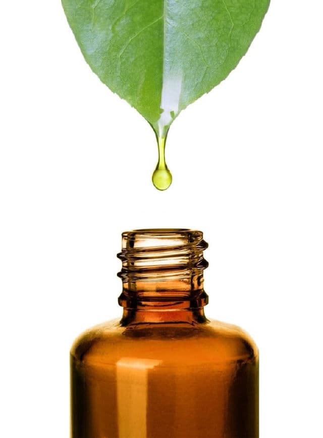 Now Solutions Tea Tree Oil review photo by AuntDD