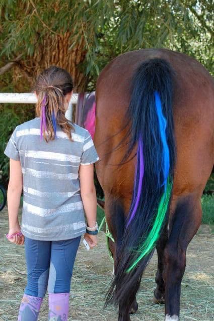 Mane 'n Tail Color Protect Conditioner Max Color Hold review photo by AuntDD